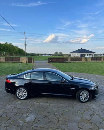 Jaguar XF cena 67900 przebieg: 130000, rok produkcji 2014 z Koronowo małe 211